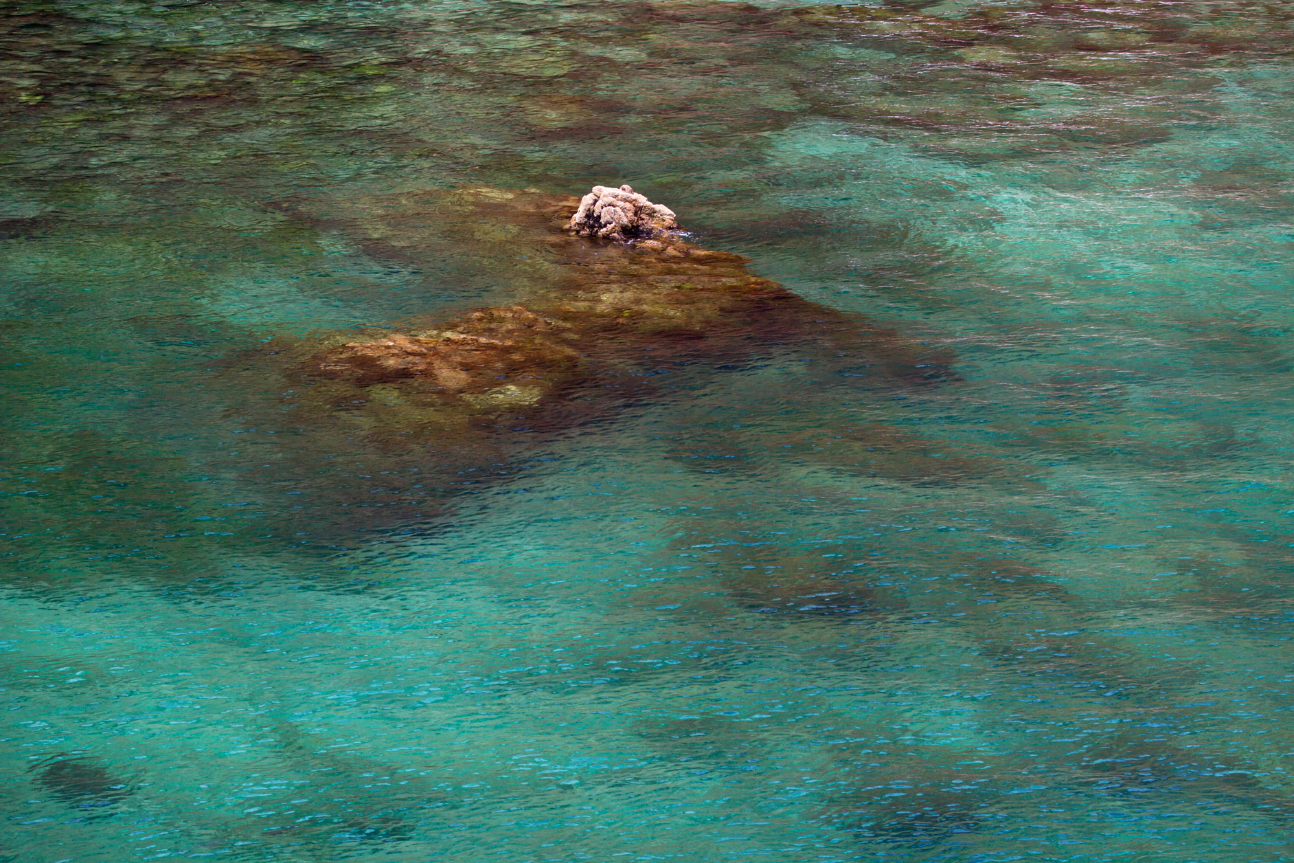 Berlenga the magical island by Isa Martins photography