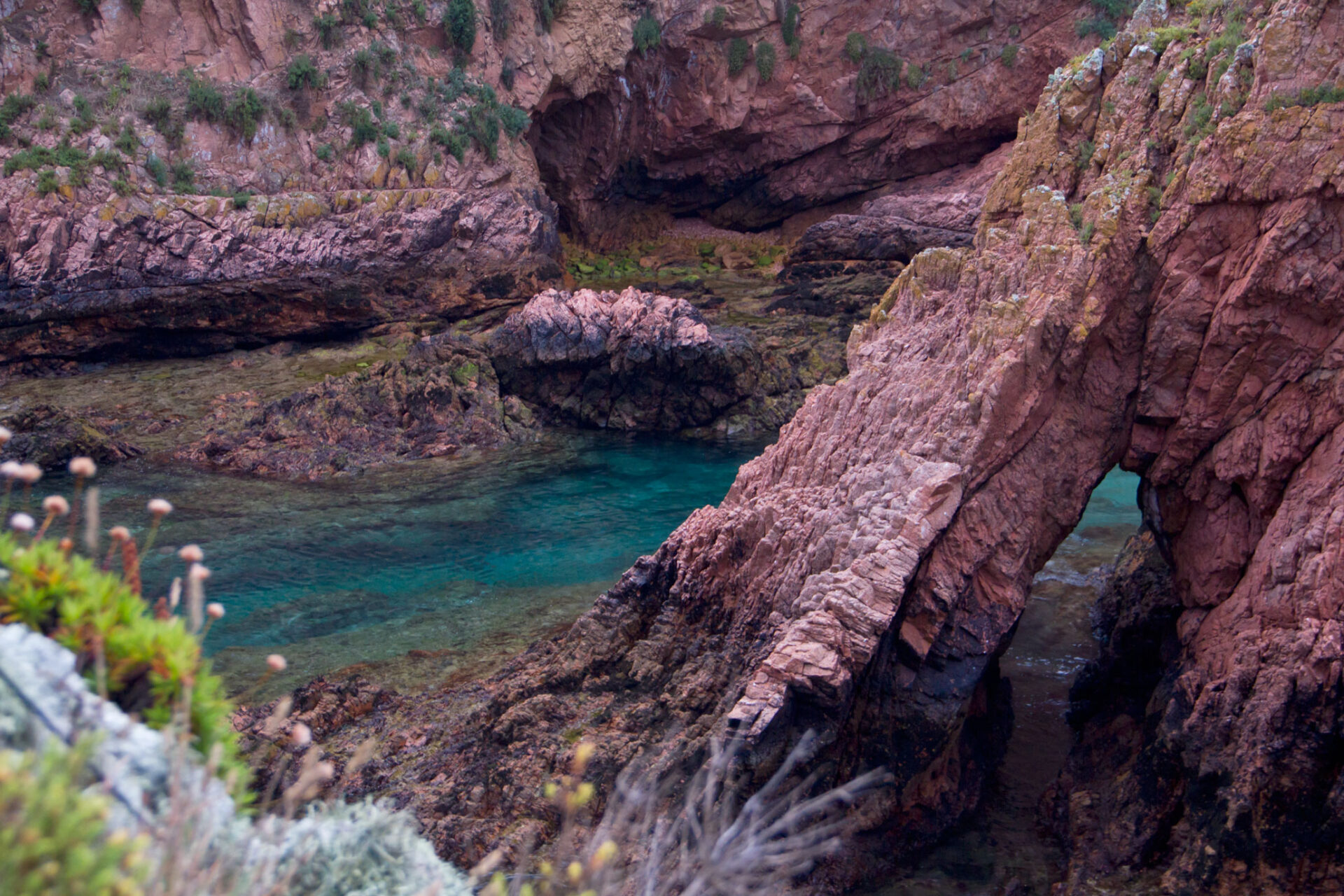 Berlenga the magical island by Isa Martins photography