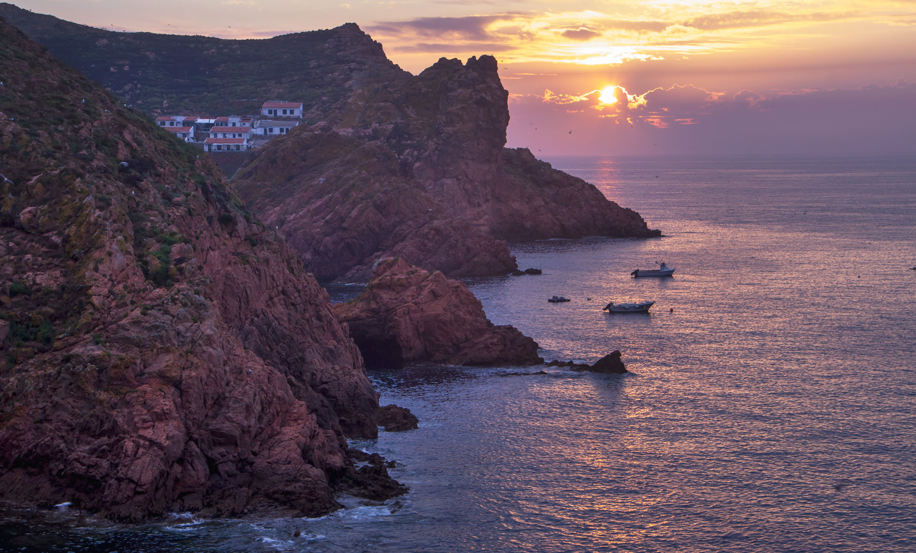 Berlenga the magical island by Isa Martins photography