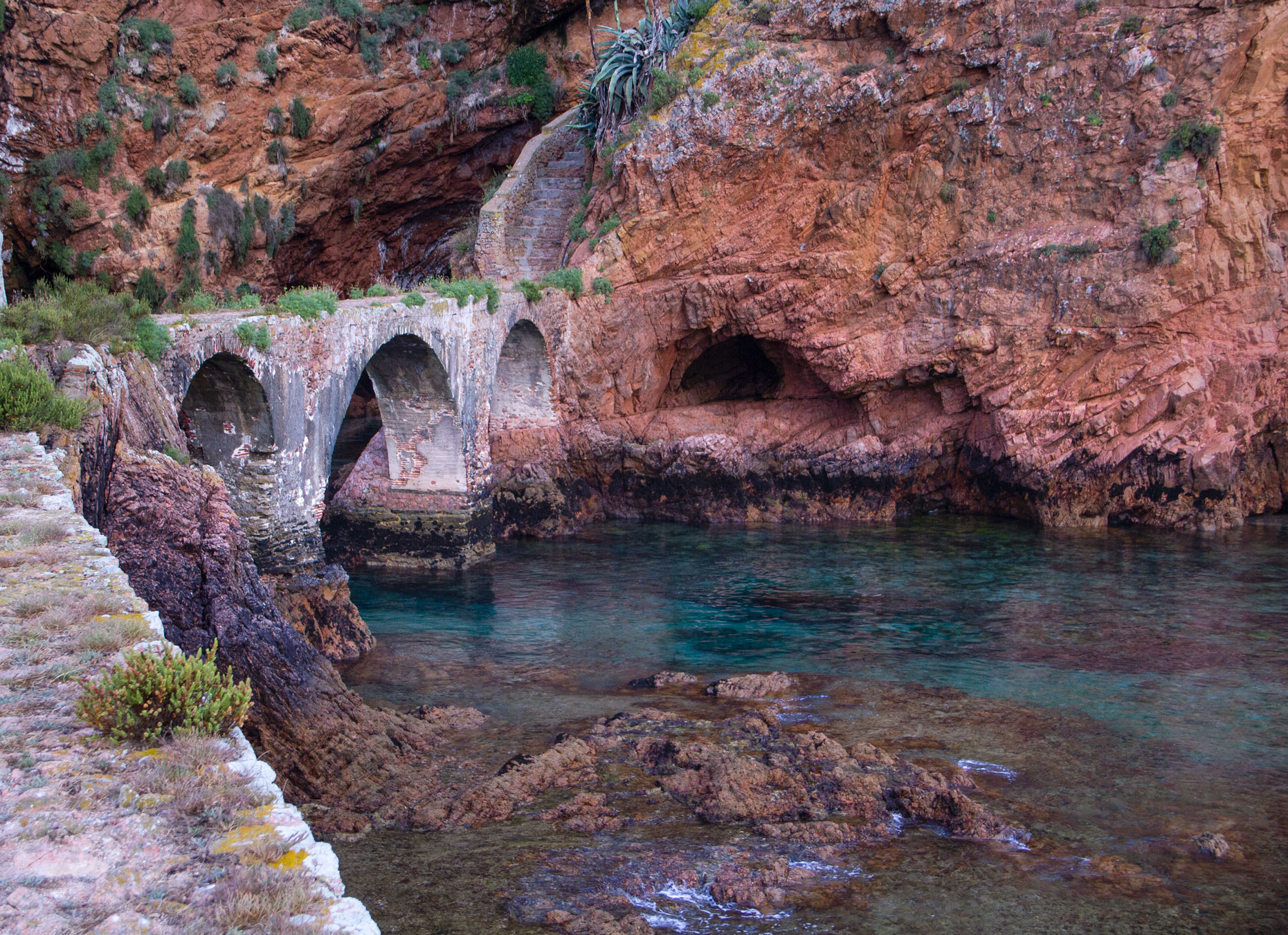 Berlenga the magical island by Isa Martins photography