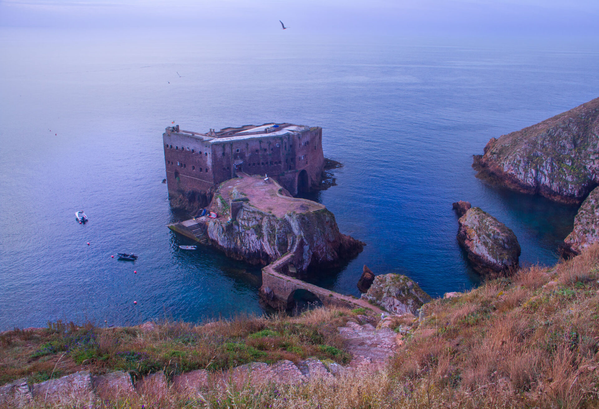 Berlenga the magical island by Isa Martins photography