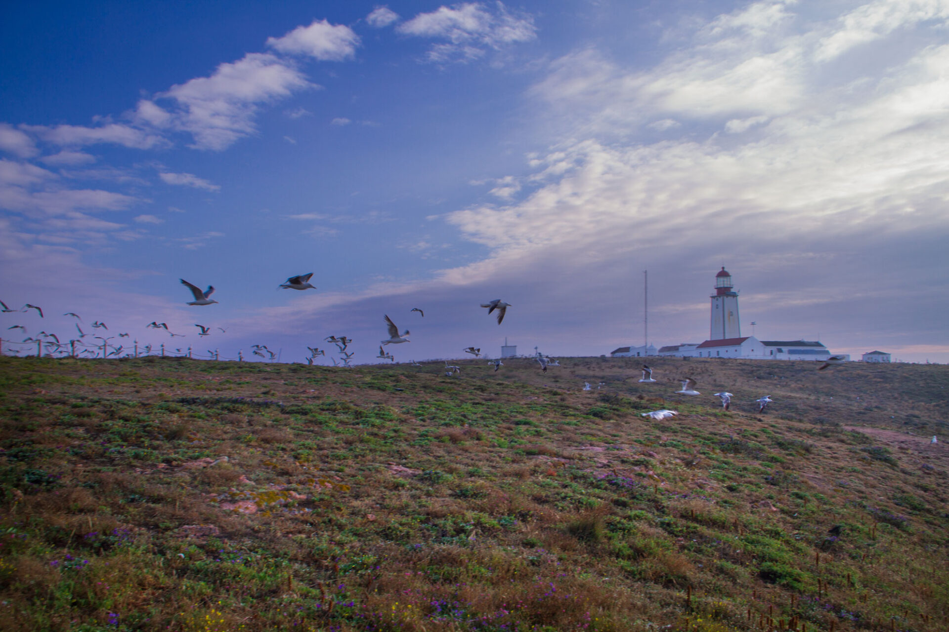 Berlenga the magical island by Isa Martins photography