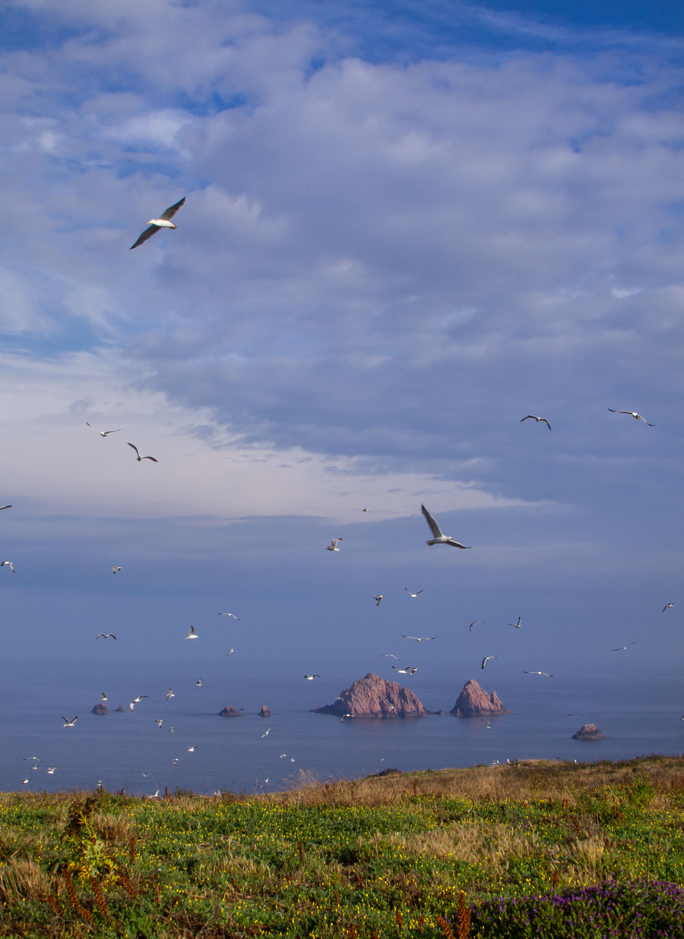 Berlenga the magical island by Isa Martins photography