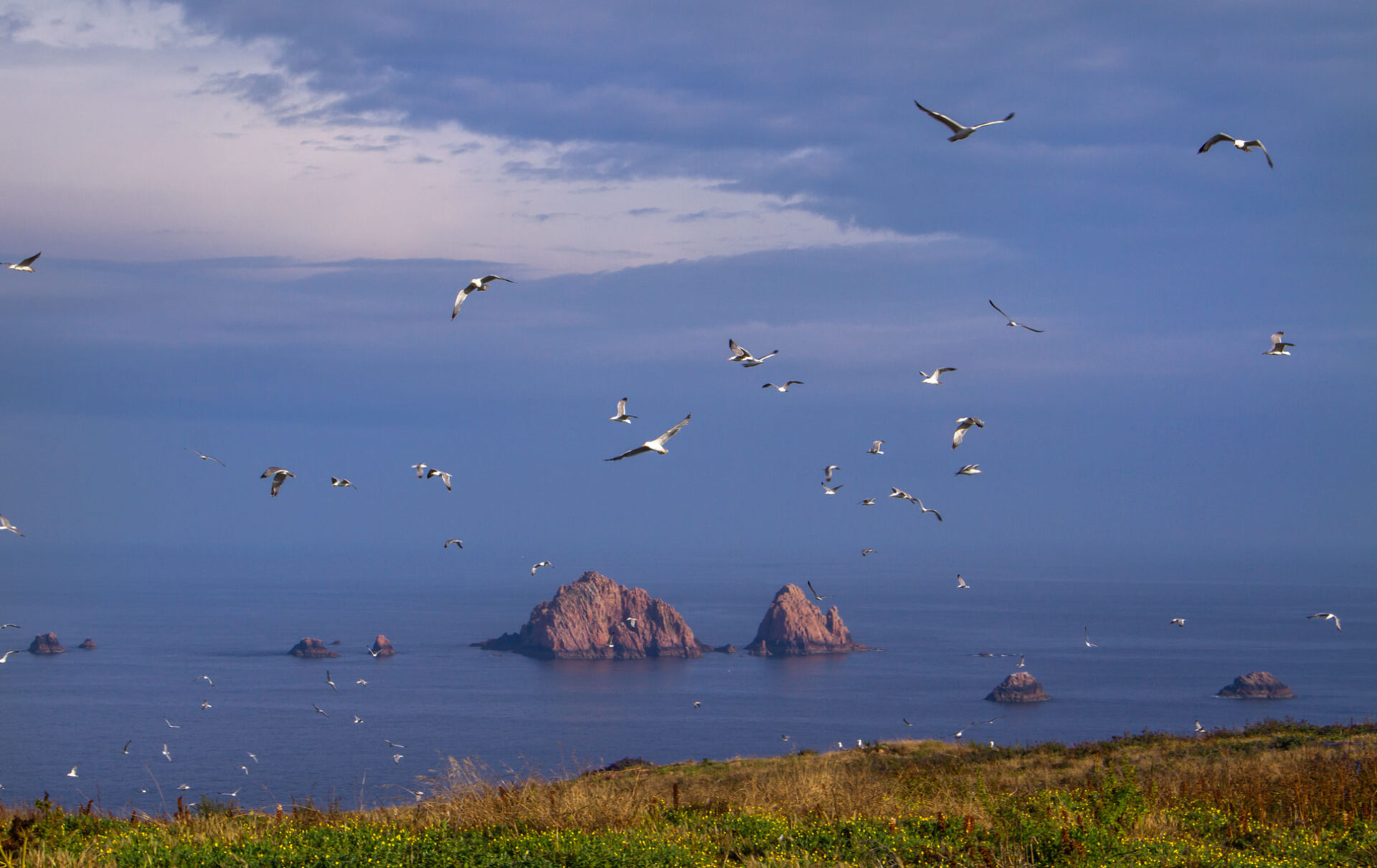 Berlenga the magical island by Isa Martins photography