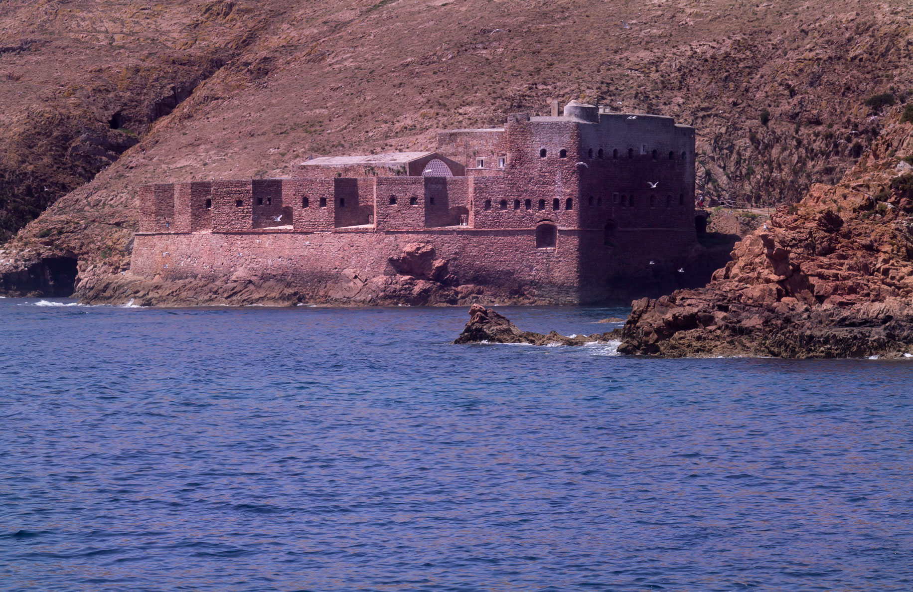 Berlenga the magical island by Isa Martins photography