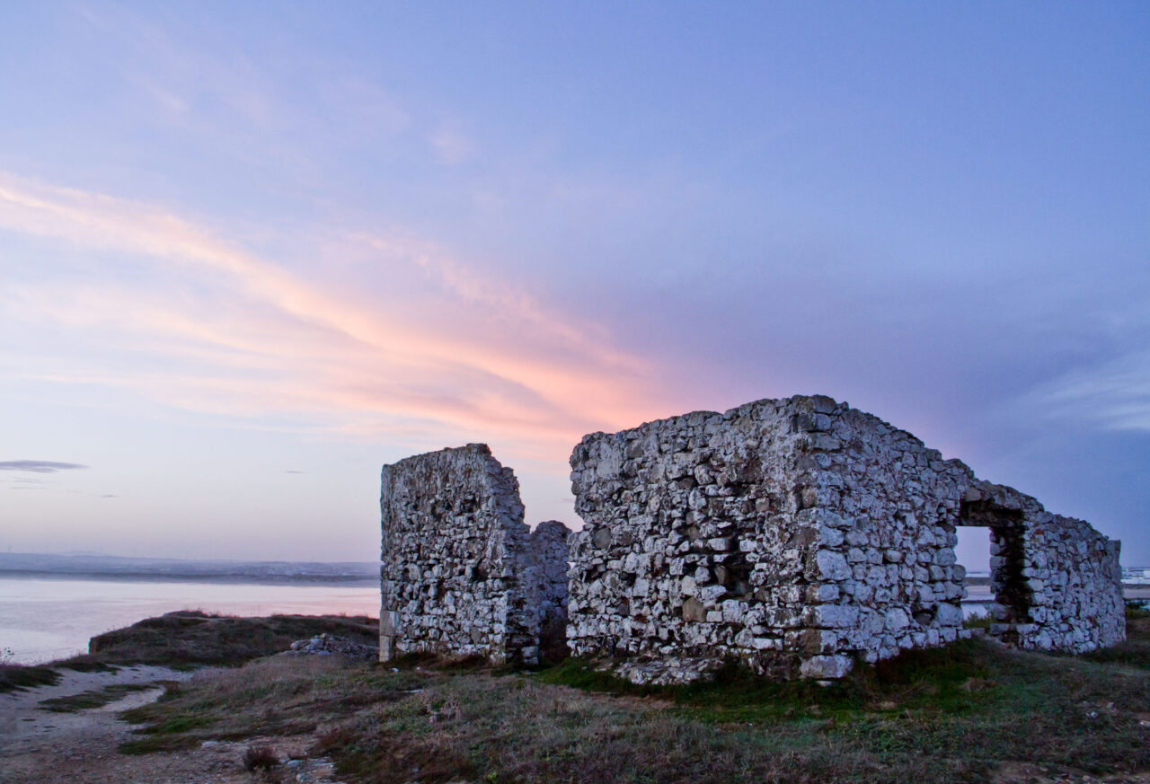 Peniche my salty roots