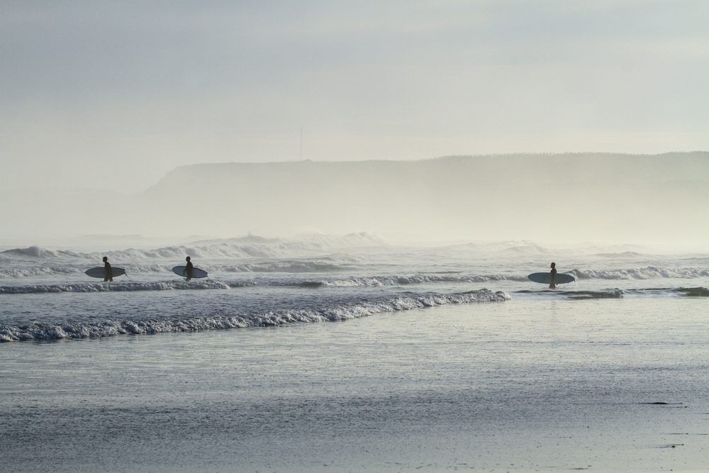 The surfer and the ocean