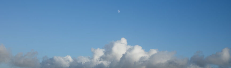 Copyright & image rights by Isa Martins Photography